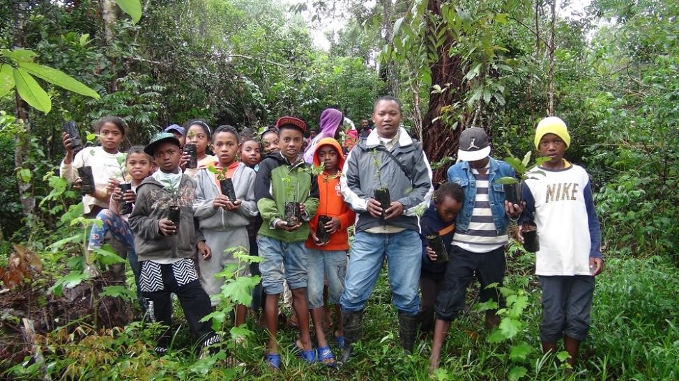 akany hasina plant trees field trip to Andasibe Mitsinjo