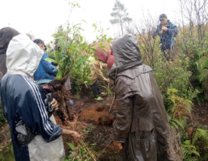 Reforestation by the youth team in Amparalalana.