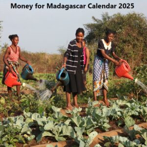 Money for Madagascar Calendar 2025 cover