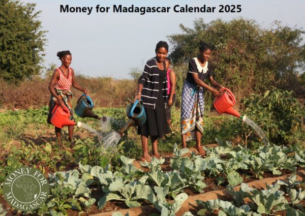 Money for Madagascar Calendar 2025 cover